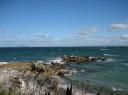 distant auckland