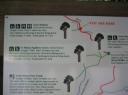 tane mahuta: you are here