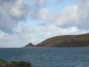 hokianga harbor - morning